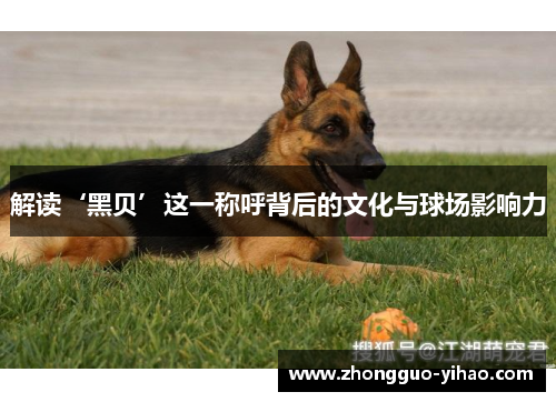 解读‘黑贝’这一称呼背后的文化与球场影响力