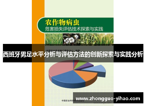 西班牙男足水平分析与评估方法的创新探索与实践分析 西班牙男足水平分析与评估方法的创新探索与实践分析