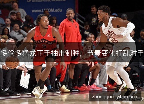 多伦多猛龙正手抽击制胜，节奏变化打乱对手
